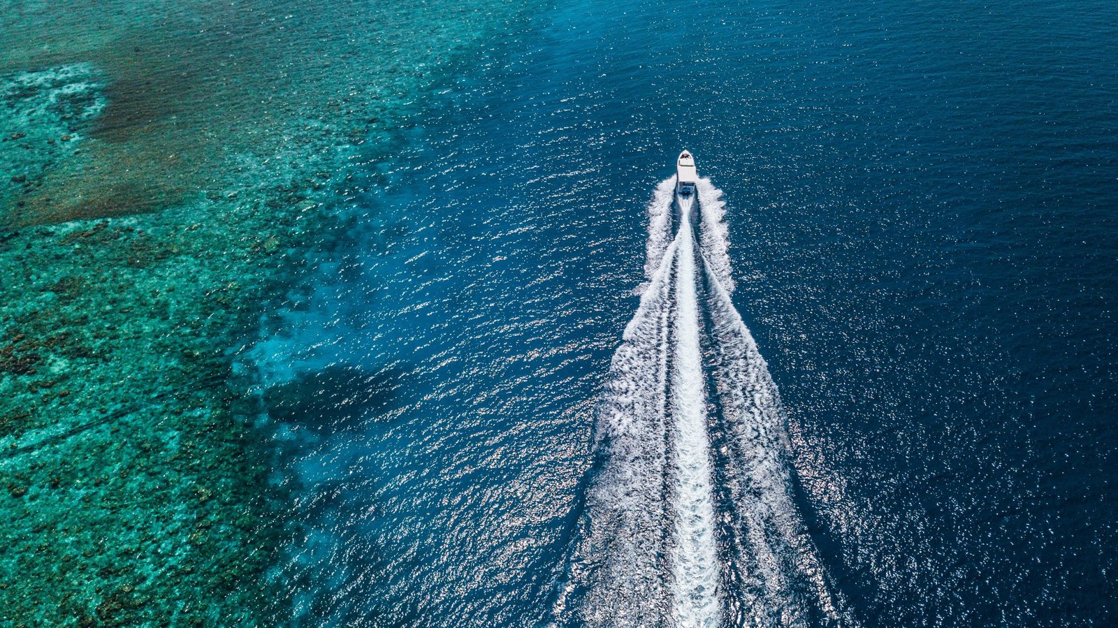 Raptor Alesta boat